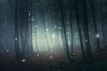 Gardinen fantasy forest scene with magical sparkles on mysterious path © andreiuc88