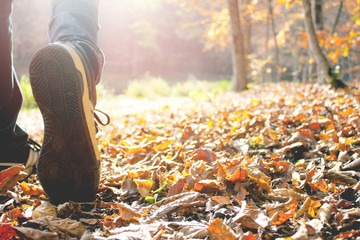 young man walking in the forest
