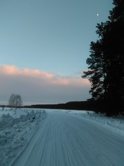 Fototapeta premium Winter