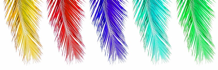 Palmes couleurs 
