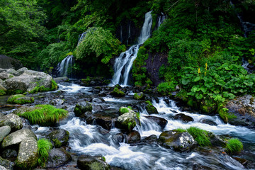 山梨県北杜市　清里高原　吐竜の滝