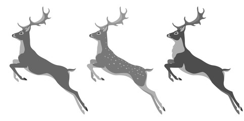 set of deer