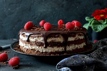 Chocolate cake with fruits on a plate. Dark background. Top view with copy space.