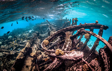 shipwreck 