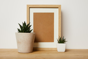 Blank decorative frame near green plants in pots at home