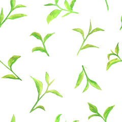 Watercolor pattern with green tea leaves
