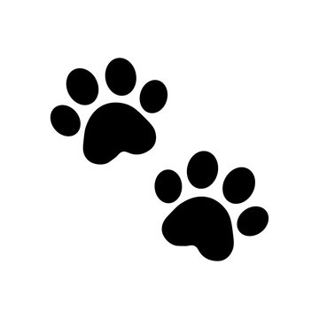 dog paw vector