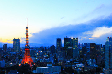 東京都庁から見る夜景