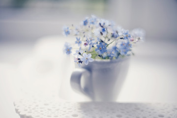 Blue flowers of a forget-me-not in a cup in a window on a lacy tray.