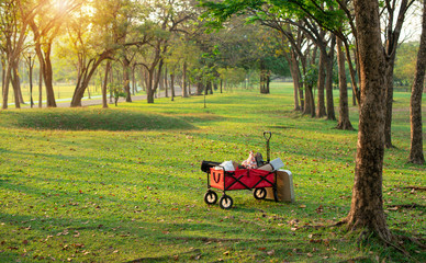 Obraz premium Red cart on fresh green lawn in city park, beautiful morning sunlight