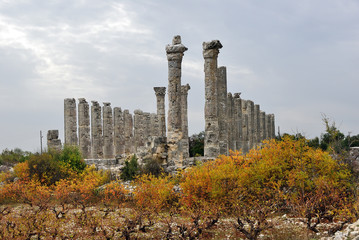 Temple of Zeus Olbius, Turkey