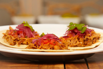 Tasty juicy tacos with pulled pork meat, salsa and marinated onion
