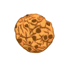 Colored Chocolate Chip Cookie in Hand Drawn Style