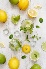 Homemade refreshing drink with lemon and lime juice and mint