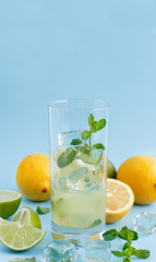 Homemade refreshing drink with lemon and lime juice and mint