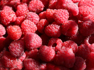 Ripe raspberry close-up