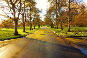 A road in an Autumn landscape.