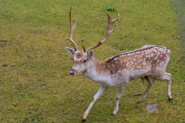 viaggio nelle dolomiti