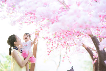 Mother holding her baby girl near Cherry Blossom Tree