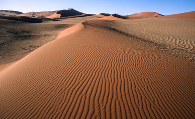 Fototapeta na wymiar pattern in the sand of red dunes
