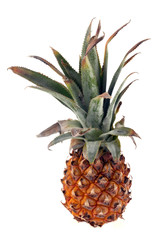 Victoria pineapple on a white background