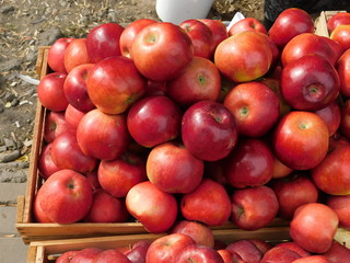 autumn apples for sale