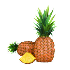 Pineapple. Pineapple close up. Pineapple and slice  isolated on white background. Pineapple in Low Poly style.