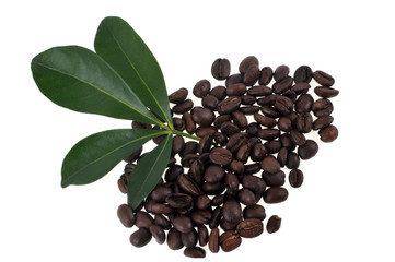 Roasted coffee beans and coffee leaves