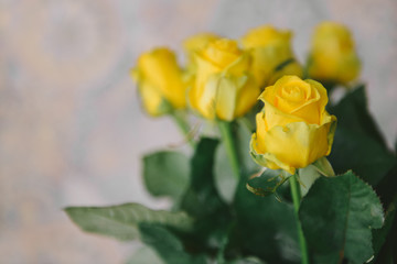 the bouquet of fresh yellow roses indoors closeup