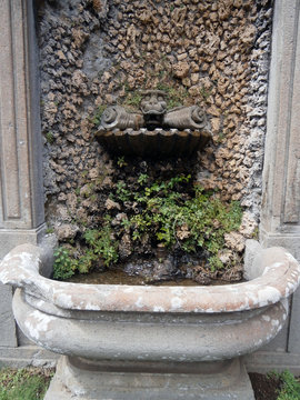 Fontanella barocco con edera e gargolla