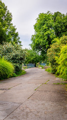 auf der Insel Mainau 