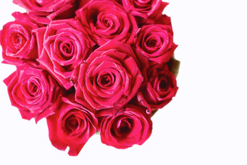 pink roses bouquet isolated on white