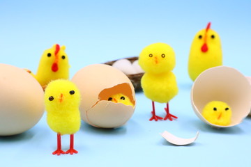 Easter Composition with Funny Chicks