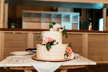 bride and groom cut the wedding cake