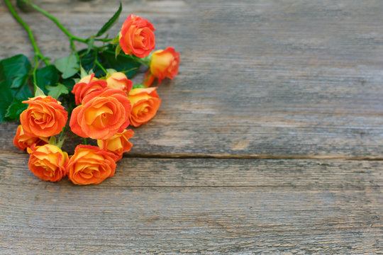 Background of a bouquet of beautiful fresh vivid orange roses tinged with red for celebrating an anniversary, birthday or Mothers Day