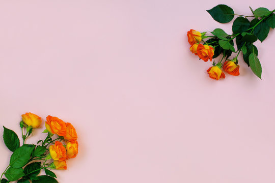 Background of a bouquet of beautiful fresh vivid orange roses tinged with red for celebrating an anniversary, birthday or Mothers Day