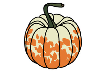 decorative pumpkin isolated on white