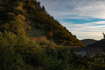 紅葉と雲