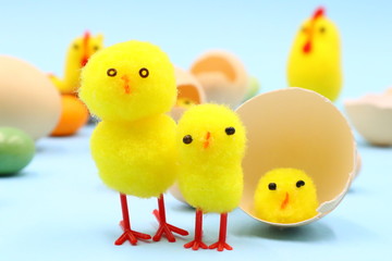 Easter Composition with Funny Chicks
