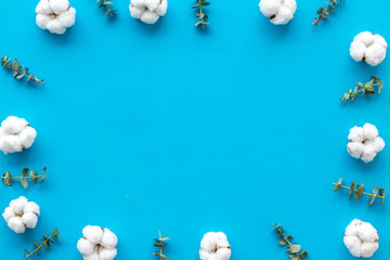 Flowers frame with fresh eucalyptus branches and cotton on blue background top view copy space