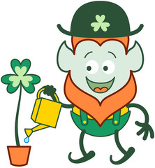 Proud Saint Patrick's Day Leprechaun with red beard, pointy ears and traditional hat and costume smiling enthusiastically while watering a beautiful big clover in a pot with a can