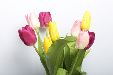 Spring flowers. A bouquet of tulips of different colors on a white background.