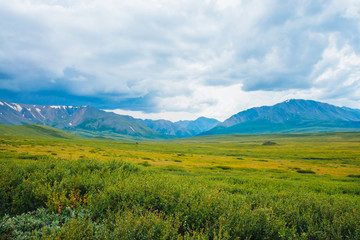 Spectacular view of giant mountains under cloudy sky. Huge mountain range at overcast weather. Wonderful wild scenery. Atmospheric landscape of highland nature. Dramatic mountainscape. Scenic flora.