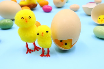 Easter Composition with Funny Chicks