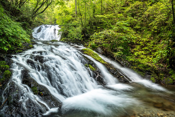 Obraz premium 檜原村 菅平の滝
