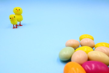 Easter Composition with Funny Chicks