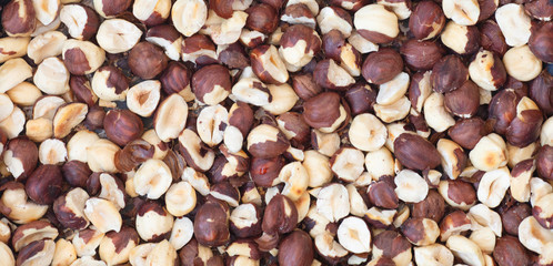 Hazelnuts semi-prepared. Background of hazelnuts