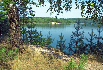 Natural lake in pine forest