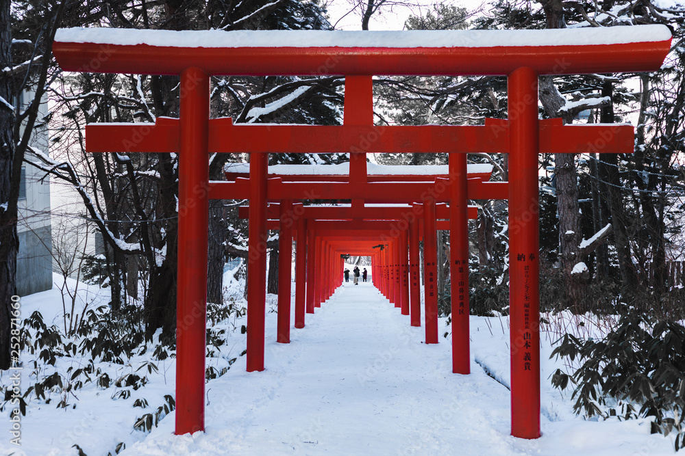 Wall mural tourists admiring the structure of fushimi inari taisha shrine in sapporo japan. this shot was taken