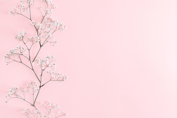 Fototapeta na wymiar Flowers composition romantic. White flowers gypsophila on pastel pink background. Valentine's Day. Birthday, Happy Women's Day. Flat lay, top view, copy space